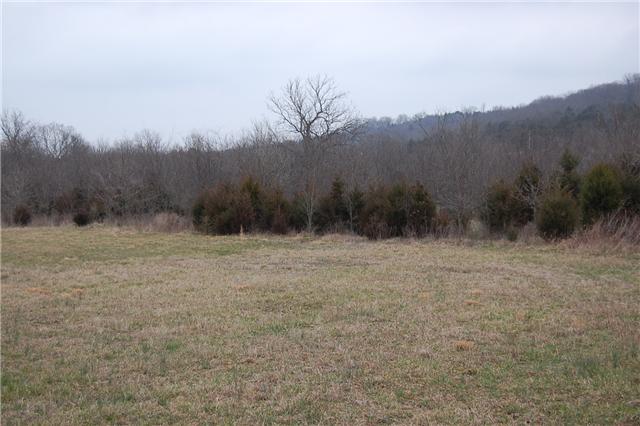 12 Dillon Road Lascassas, TN 37085 - Photo 9 of 16