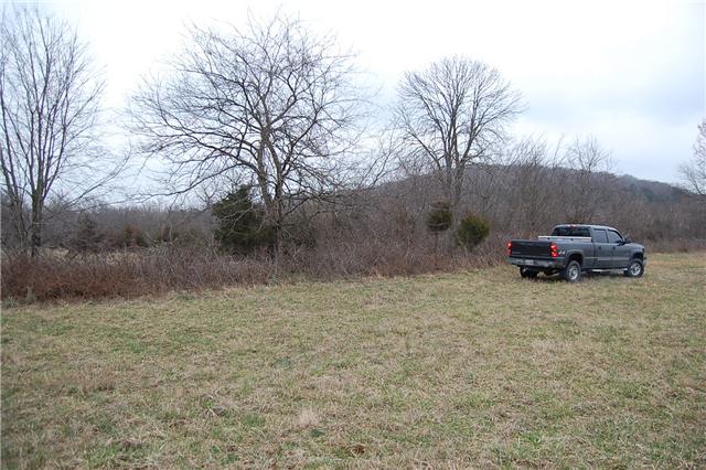 12 Dillon Road Lascassas, TN 37085 - Photo 10 of 16