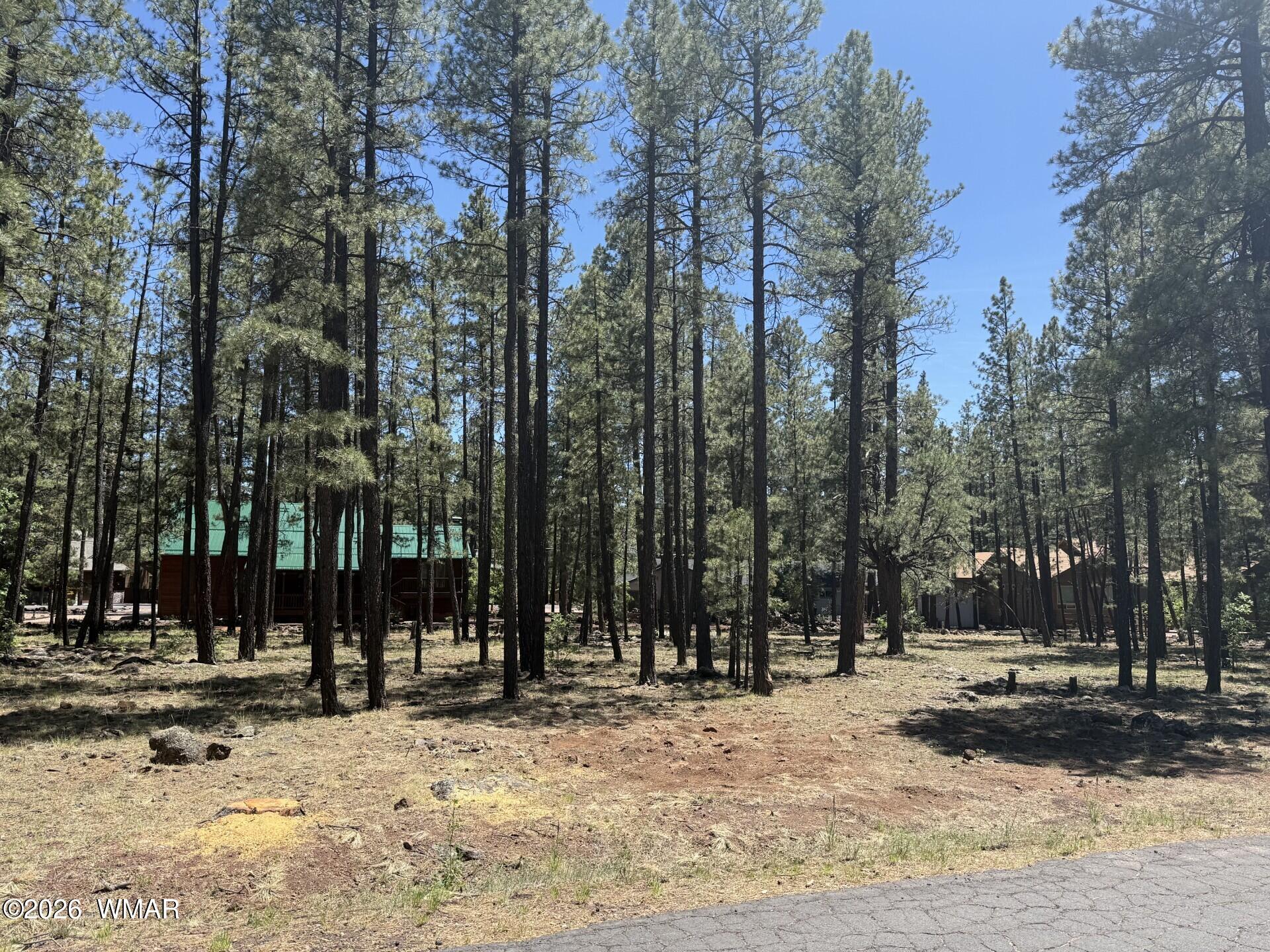 8079 Buck Springs Road Pinetop, AZ 85935 - Photo 1 of 1 Gallery Image 1