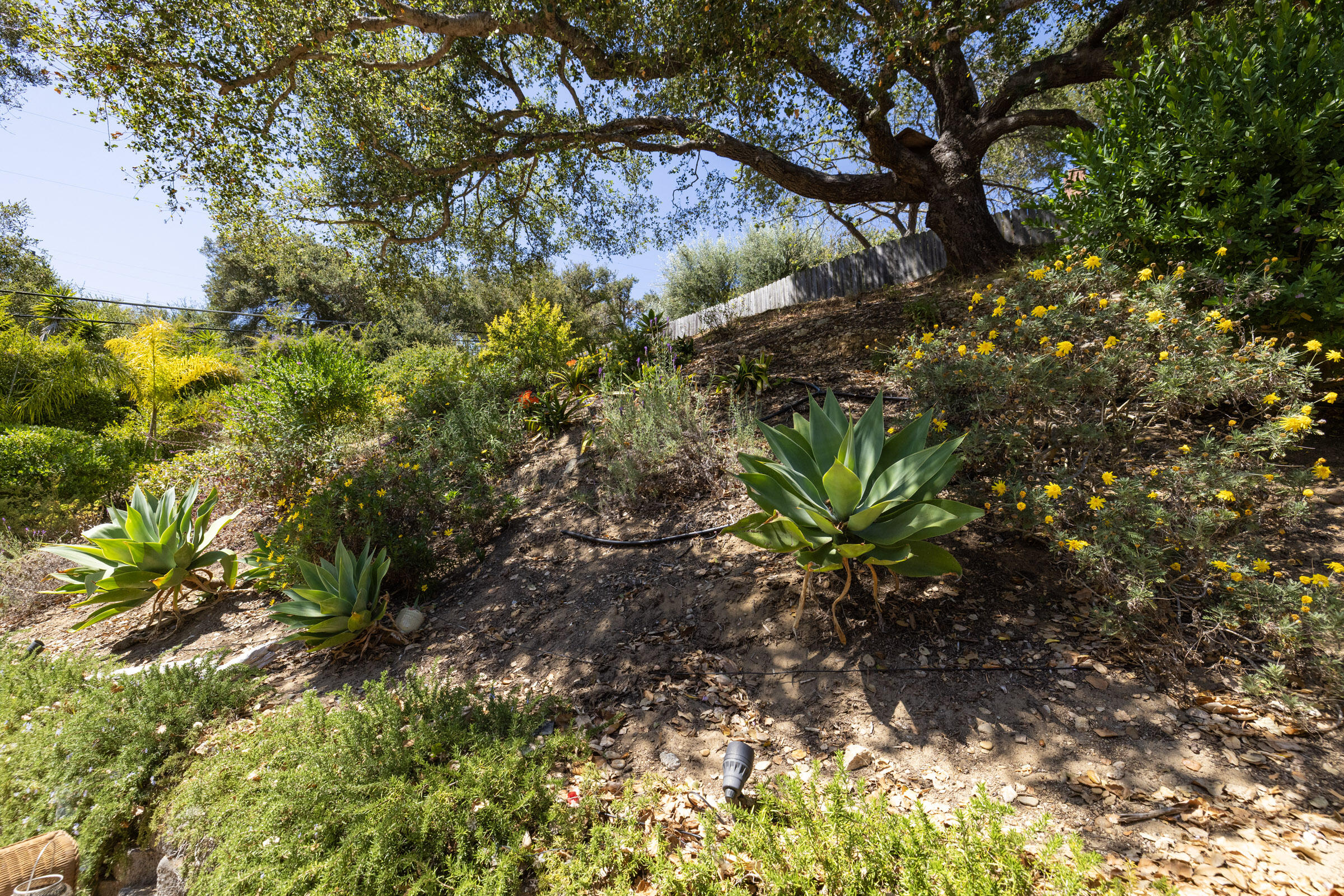 1352 Manitou Road Santa Barbara, CA 93101 - Photo 24 of 29 Landscaping
