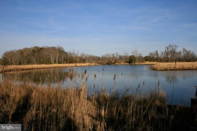 3443 Frazier Neck Road Preston, MD 21655 - Photo 1 of 13 Lot faces east across Skillington Creek