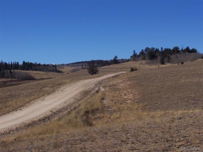 1481 Remington Road Como, CO 80432 - Photo 3 of 6 Gallery Image 3
