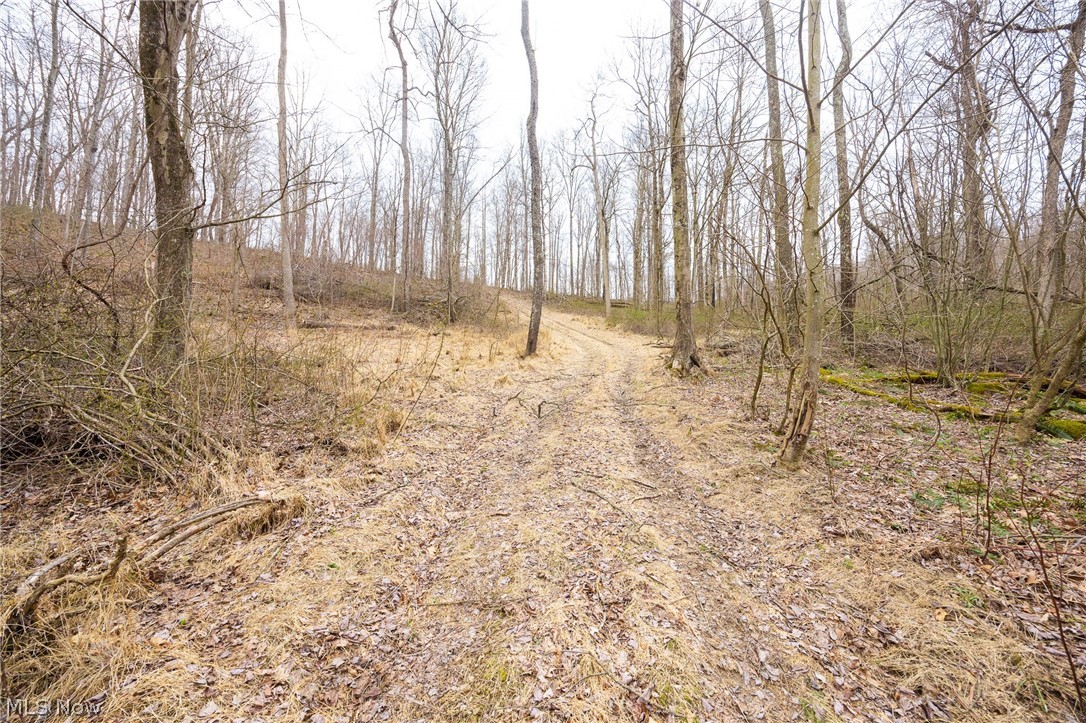 71 Township Road Killbuck, OH 44637 - Photo 25 of 39