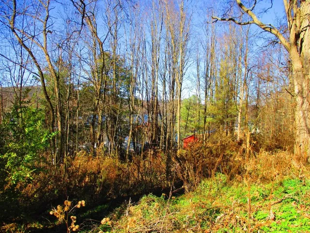 $292,000 | 0 County Highway, Cooperstown, NY 13326