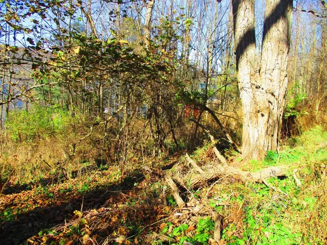 $292,000 | 0 County Highway, Cooperstown, NY 13326