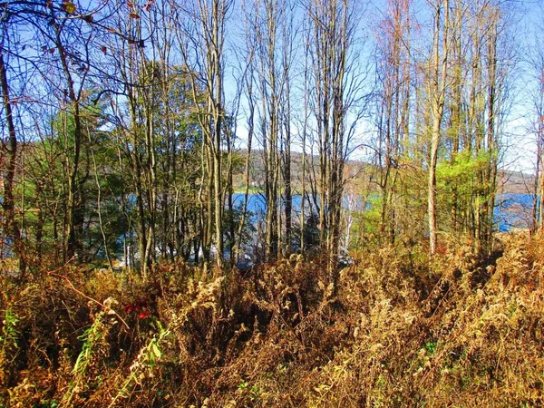 $292,000 | 0 County Highway, Cooperstown, NY 13326