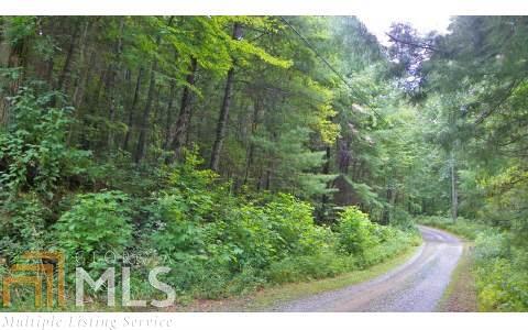 0 Rockhouse Road, Unit 1 48 AC Cherry Log, GA 30522 - Photo 1 of 1 Gallery Image 1