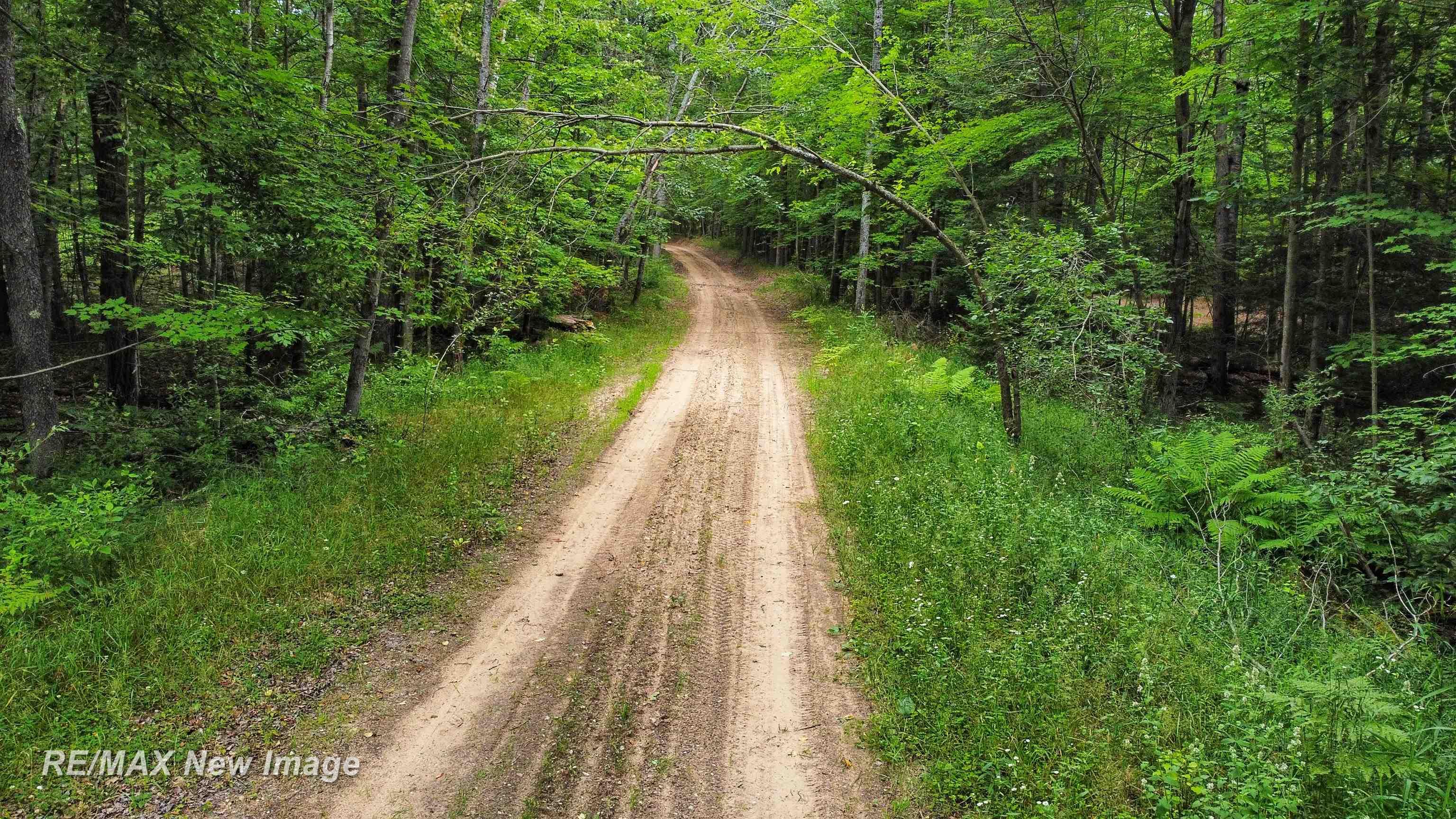 1040 Ritchie Road Lincoln, MI 48742 - Photo 10 of 63