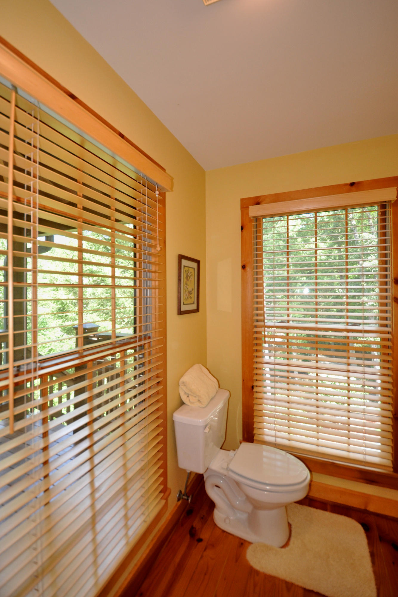 811 Laurel Road Townsend, TN 37882 - Photo 21 of 38 Main Level Bath on Suite