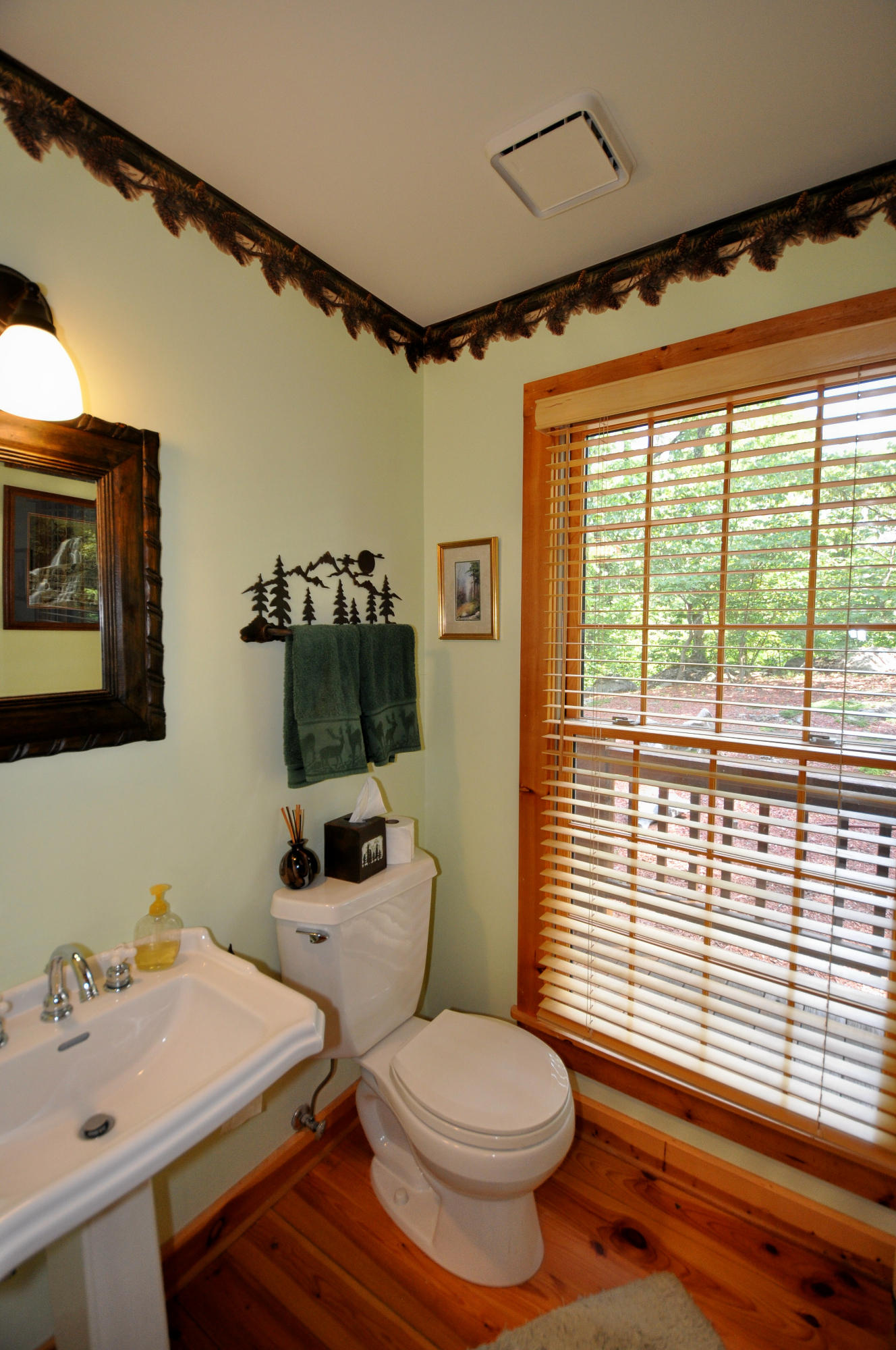 811 Laurel Road Townsend, TN 37882 - Photo 22 of 38 Main Level Powder Room