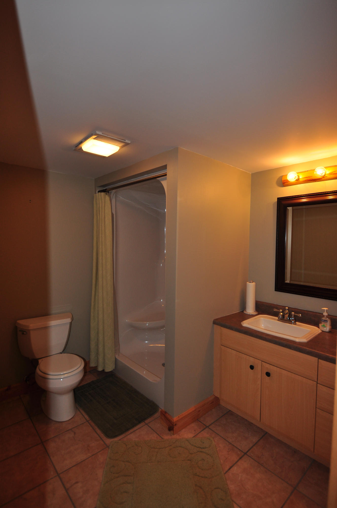 811 Laurel Road Townsend, TN 37882 - Photo 31 of 38 Full Bath Lower Level