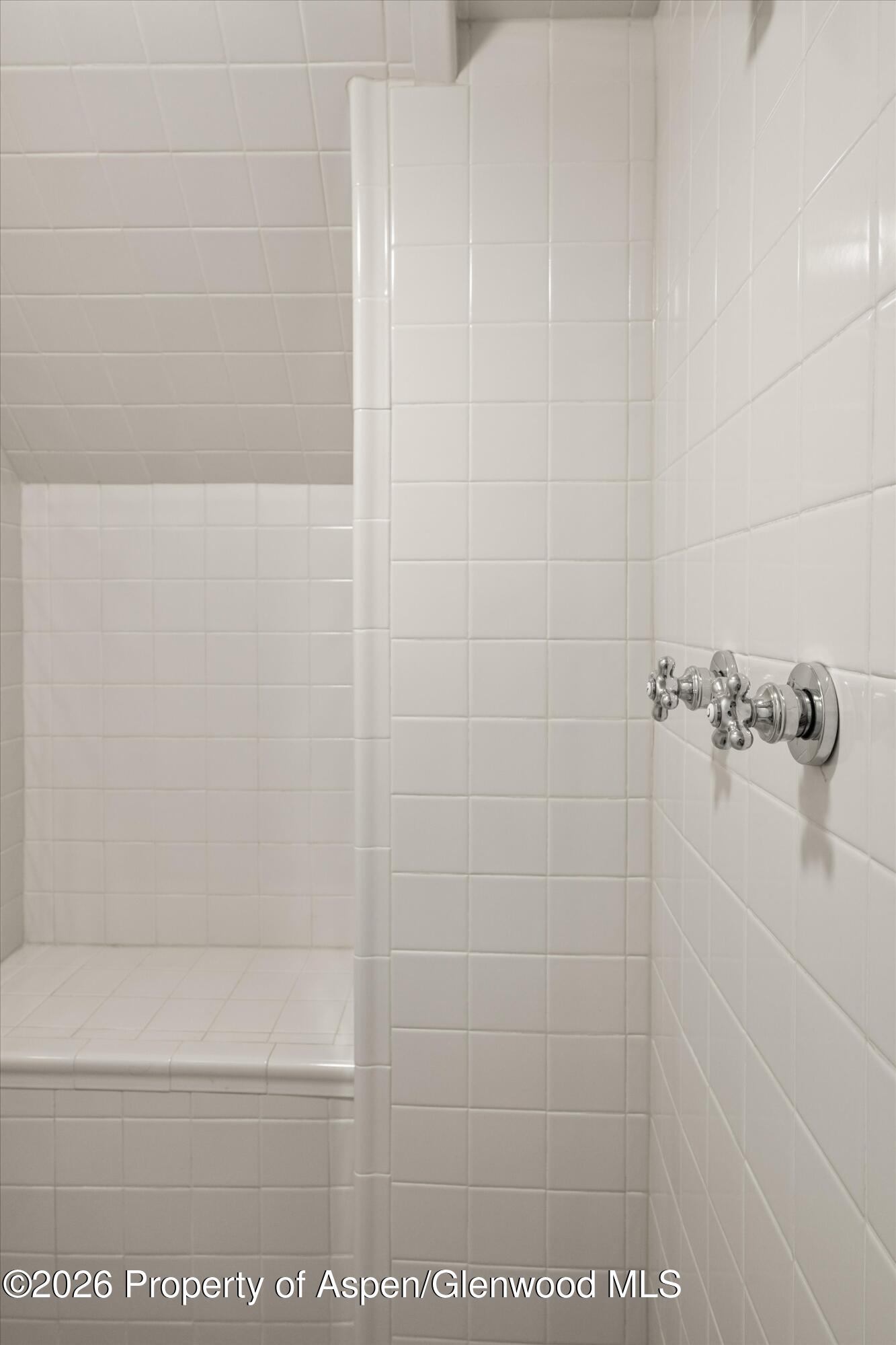 352 Faraway Road Snowmass Village, CO 81615 - Photo 45 of 48 Steamroom