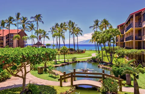 a view of ocean