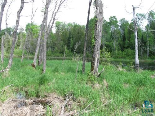 Xxx Winton Road Ely, MN 55731 - Photo 3 of 10 Gallery Image 3