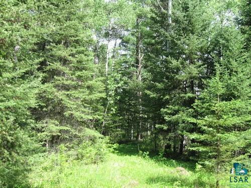 Xxx Winton Road Ely, MN 55731 - Photo 5 of 10 Gallery Image 5
