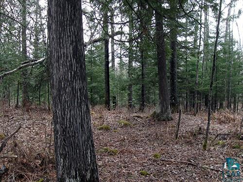 Xxx Winton Road Ely, MN 55731 - Photo 8 of 10 Gallery Image 8
