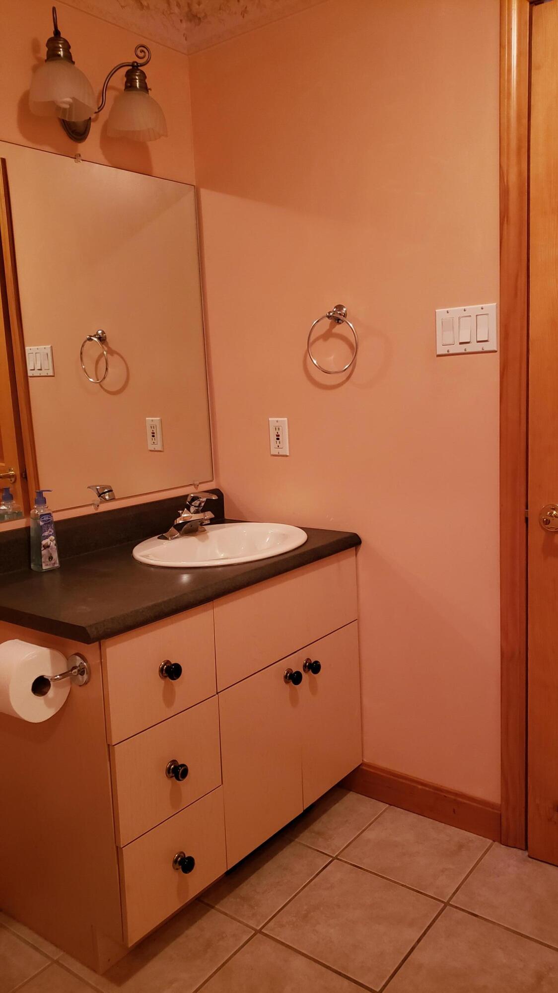 584 China Road Winslow, ME 04901 - Photo 10 of 20 primary vanity