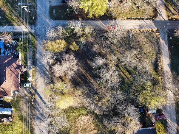 a view of a tree in a yard