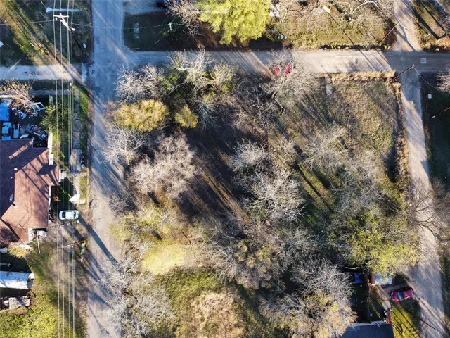 a view of a tree in a yard
