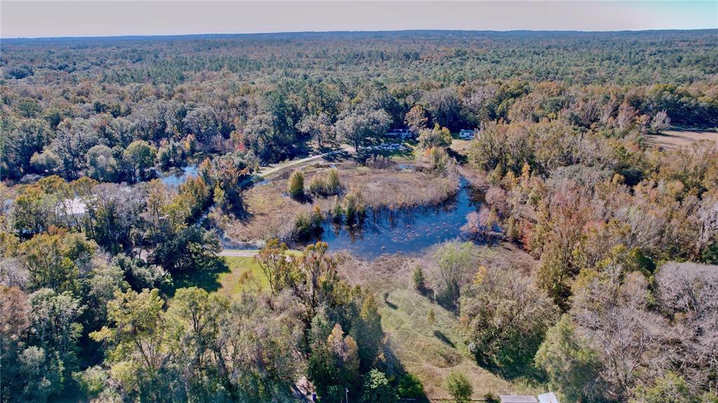 9481 Patrick Street Brooksville, FL 34601 - Photo 68 of 91