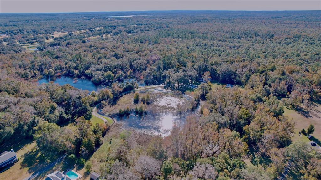 9481 Patrick Street Brooksville, FL 34601 - Photo 74 of 91
