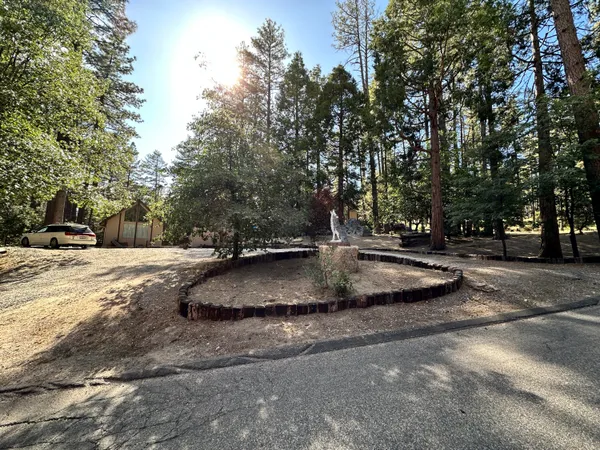 a view of outdoor space with trees