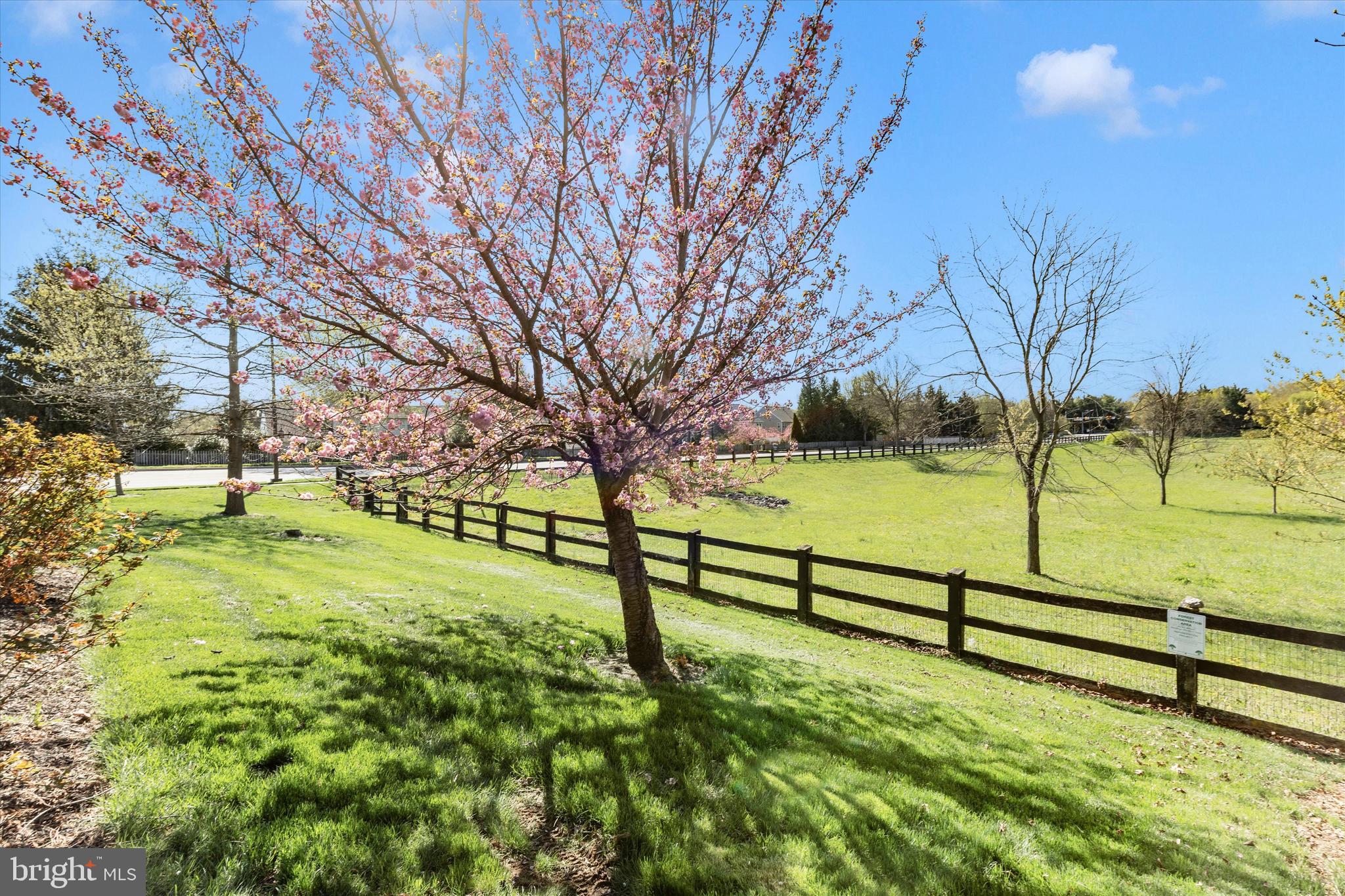 100 Sunlight Drive Frederick, MD 21702 - Photo 23 of 41 a view of a park with large trees