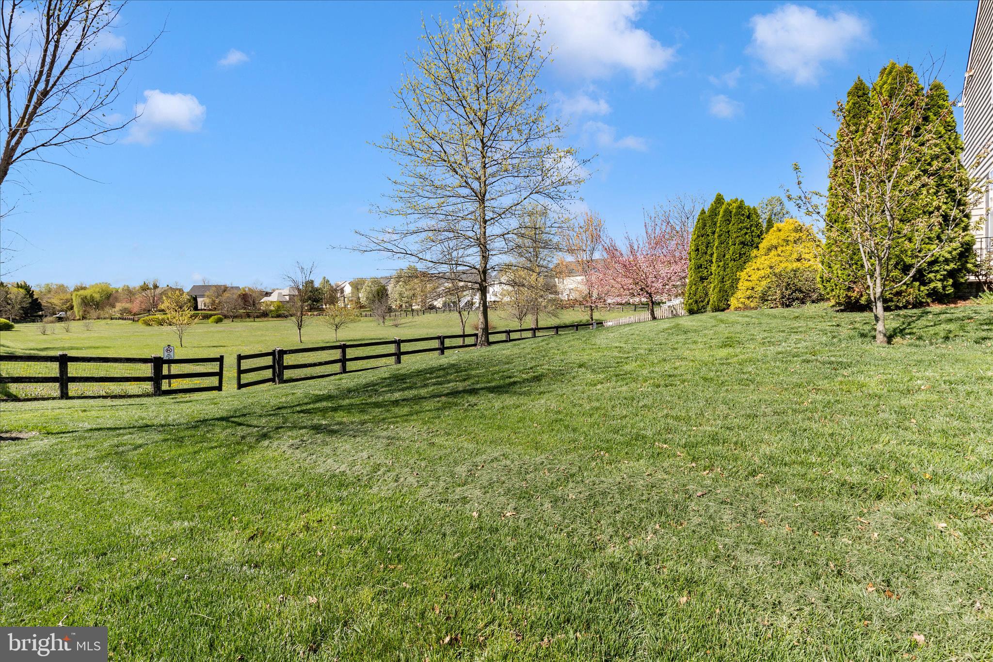 100 Sunlight Drive Frederick, MD 21702 - Photo 33 of 41 a view of a park with large trees