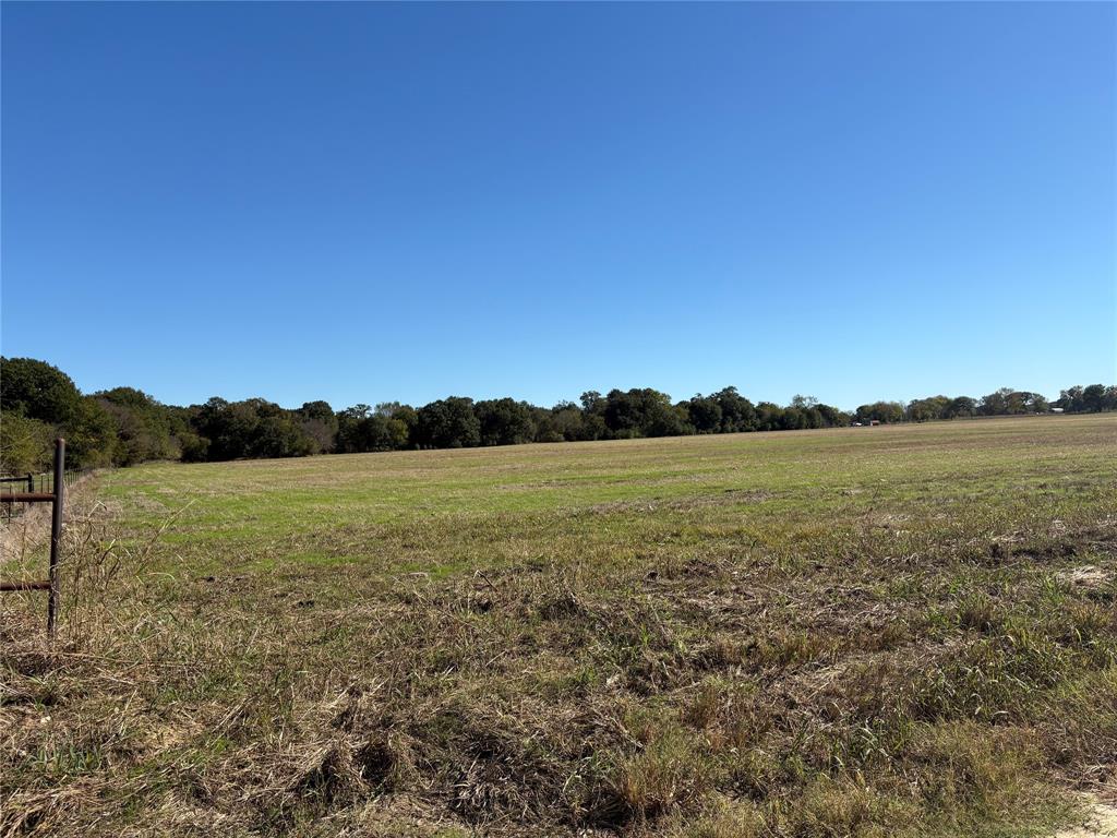 7 County Road Telephone, TX 75488 - Photo 4 of 11