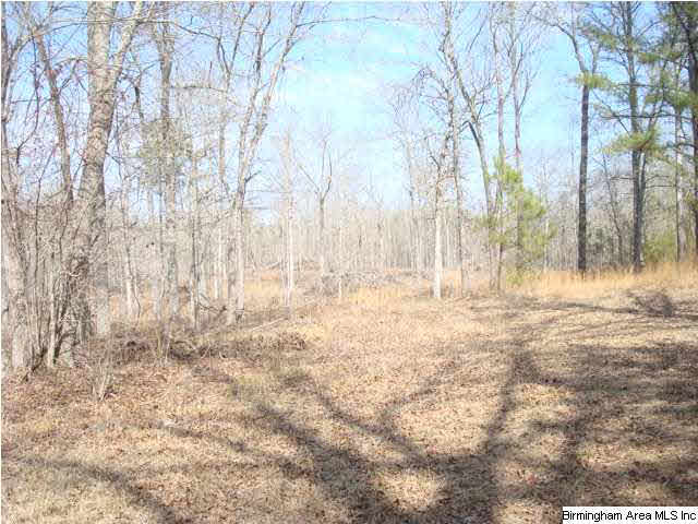 1180 Thompson Road, Unit 39 ACRES Ohatchee, AL 36271 - Photo 13 of 16