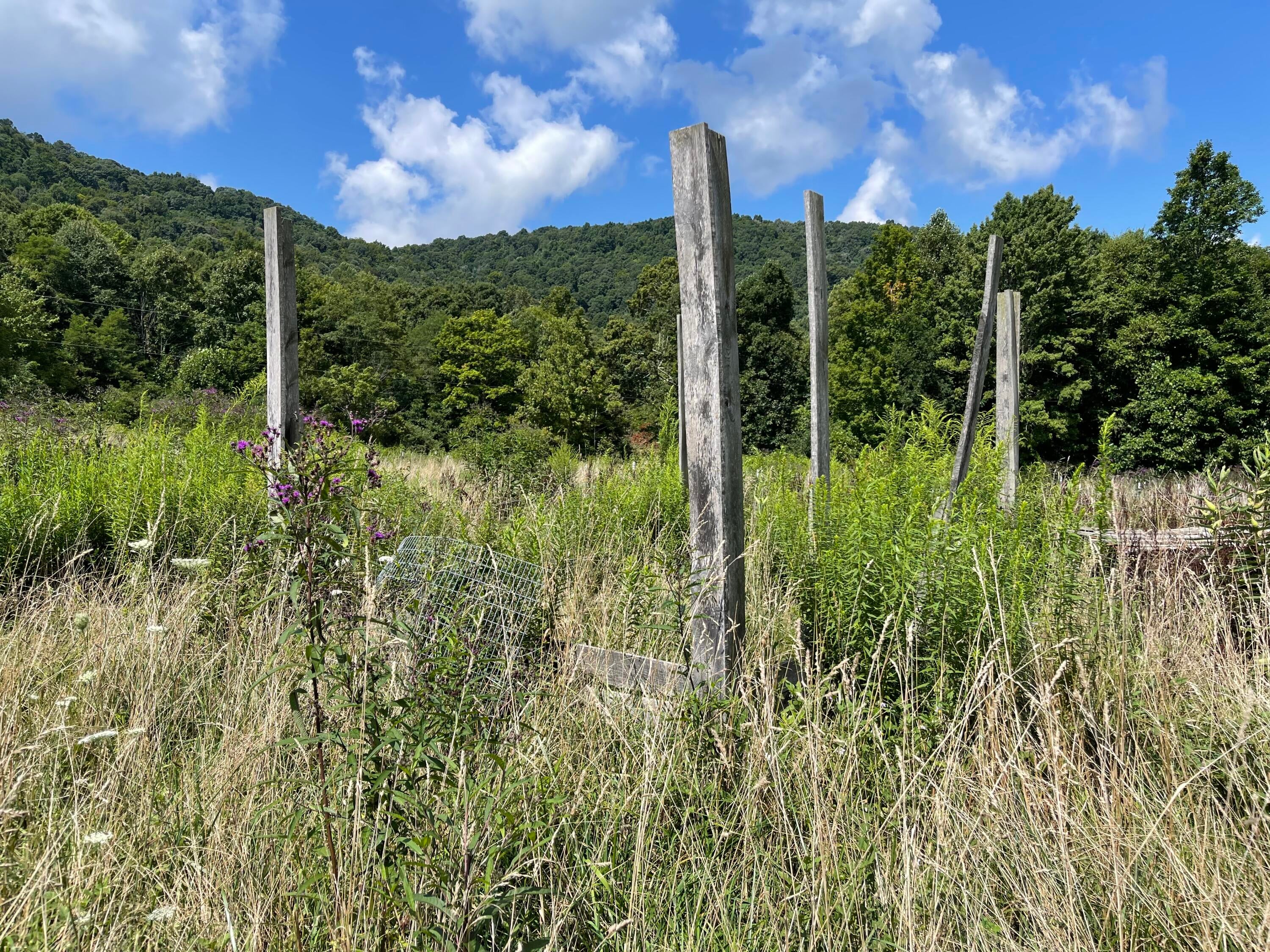Ward Bench Road Sandstone, WV 25985 - Photo 44 of 92 Gallery Image 44