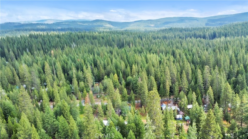 7515 Abner Lane Forest Ranch, CA 95942 - Photo 19 of 65