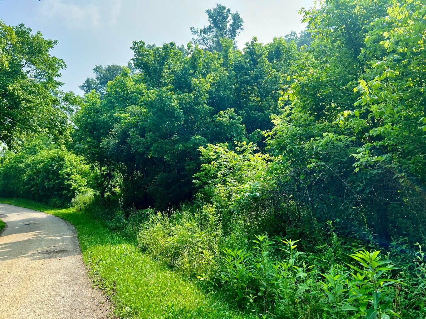 1030 Old Owenton-Georgetown Road Owenton, KY 40359 - Photo 35 of 37 20230811145825042969000000-o