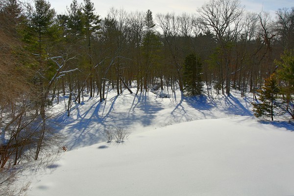 56 Radcliffe Road Weston, MA 02493 - Photo 14 of 14