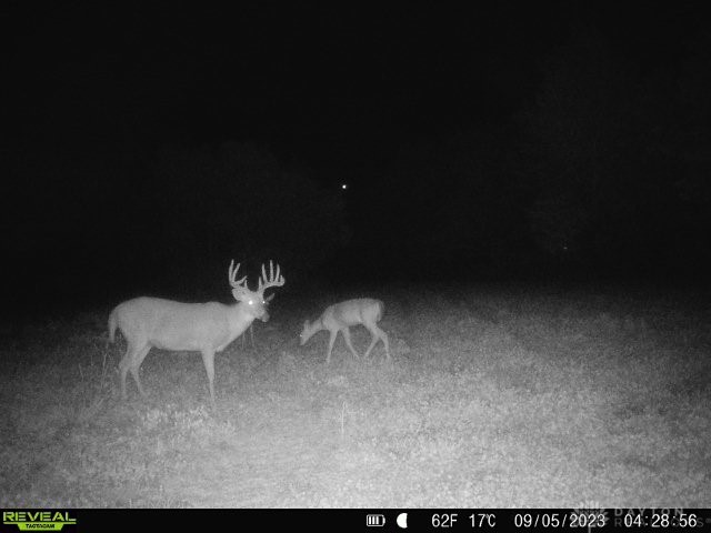 1650 Indian Road Moscow, OH 45153 - Photo 35 of 41 Gallery Image 35