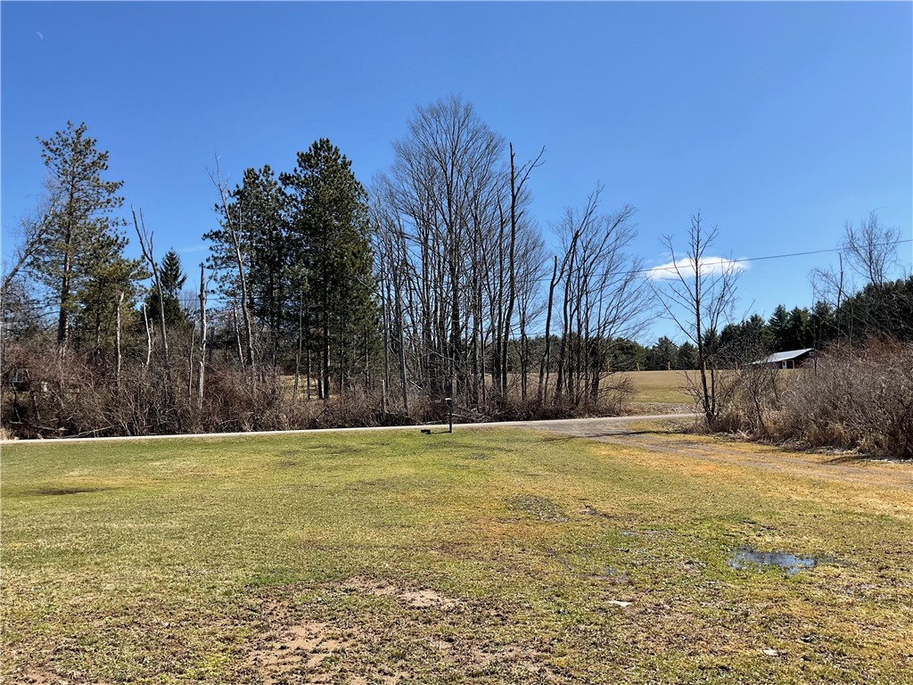 1399 Martin Hill Road Caton, NY 14830 - Photo 28 of 35 View across the road