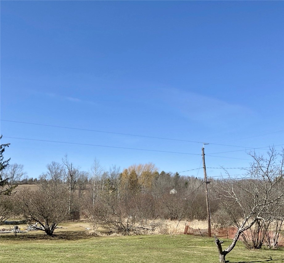 1399 Martin Hill Road Caton, NY 14830 - Photo 29 of 35 View of the hill in the back