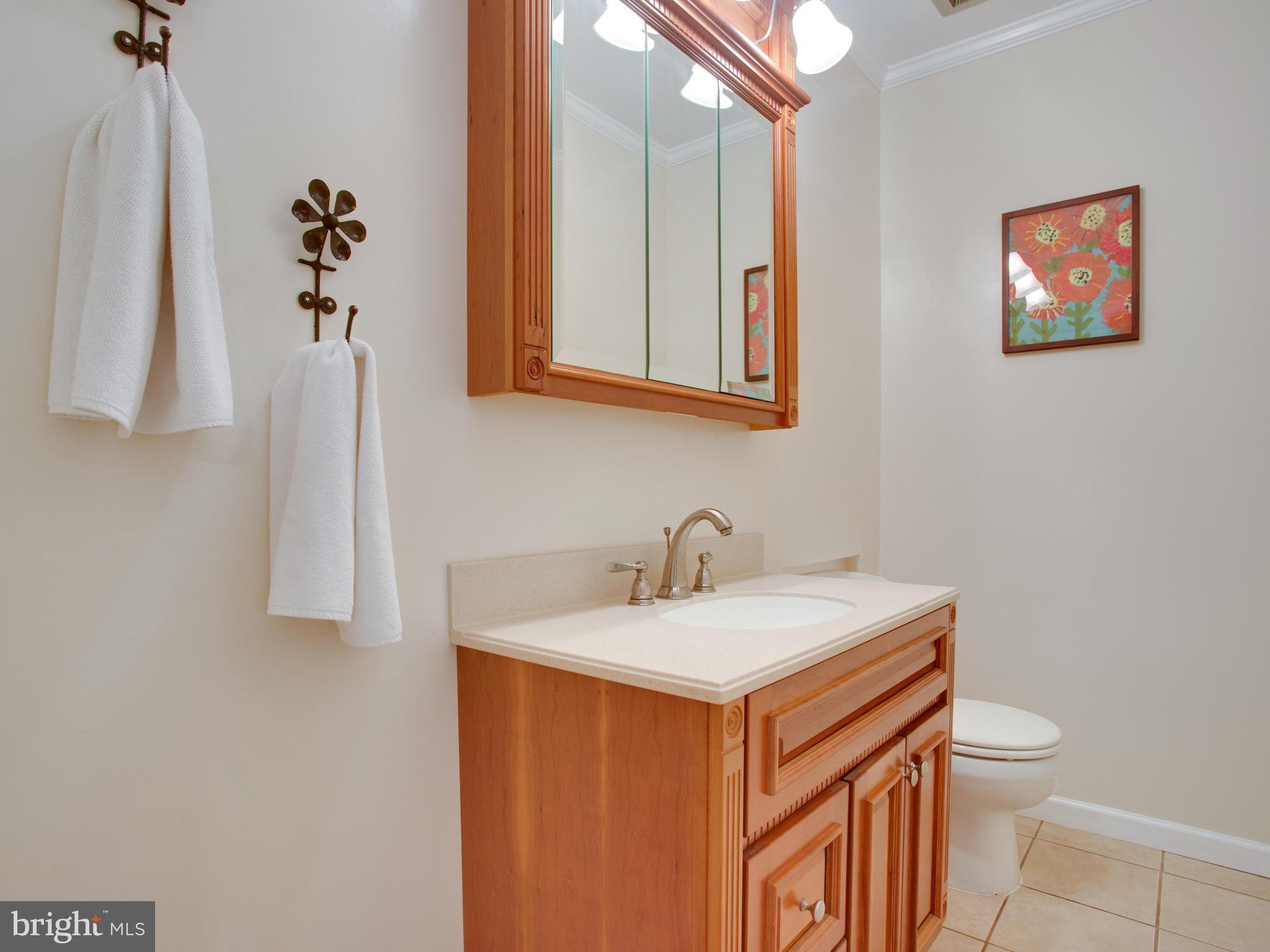 13132 Moss Ranch Lane Fairfax, VA 22033 - Photo 16 of 30 a bathroom with a sink vanity and toilet