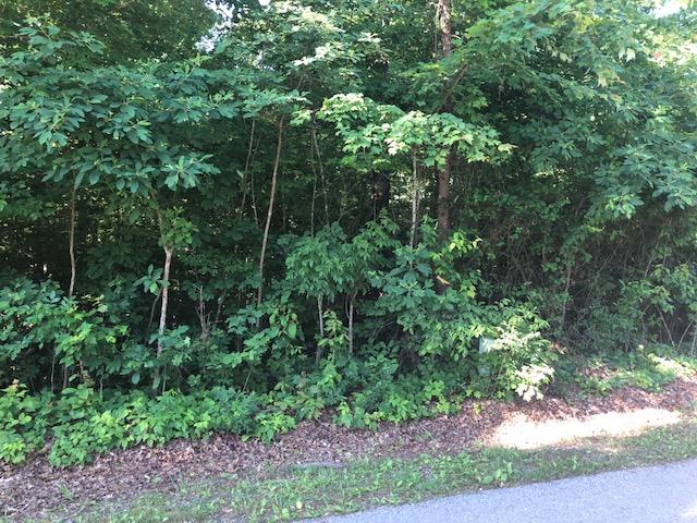 127 Phillips Subdivision Road Clarkrange, TN 38553 - Photo 1 of 1 IMG_0368