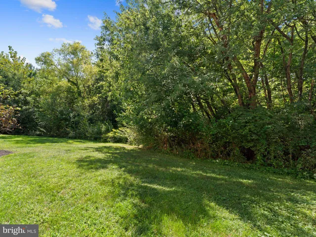 a big yard with lots of green space and deers