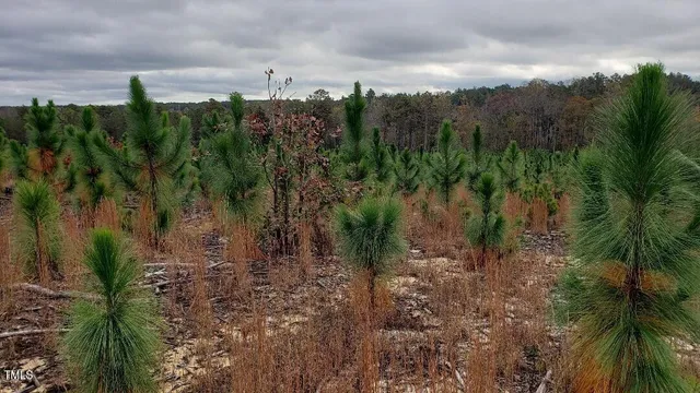 $2,150,000 | 2769 Nc-211 Eagle Springs, Eagle Springs, NC 27242