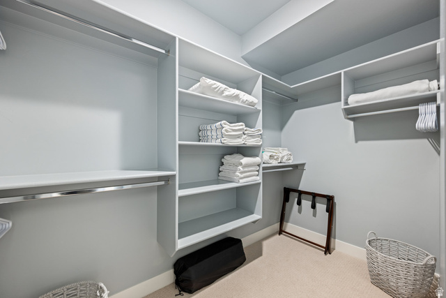 762 West Periwinkle Lane, Unit 102 St. George, UT 84790 - Photo 18 of 40 Walk in closet featuring light carpet