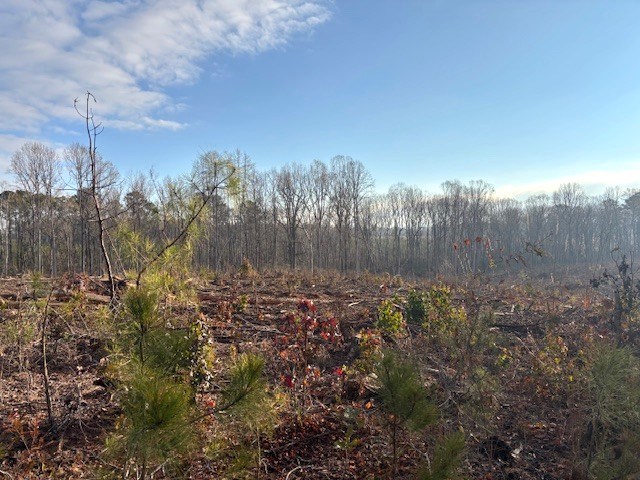 - Chipley Road Greenwood, SC 29646 - Photo 30 of 34
