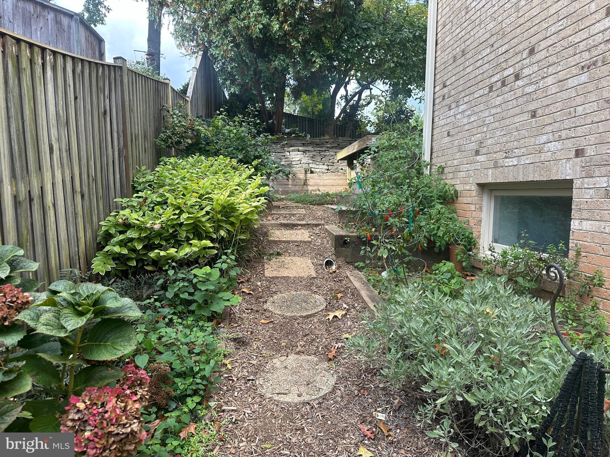 1142 Randolph Road McLean, VA 22101 - Photo 4 of 44 Left side of the house with beautiful garden