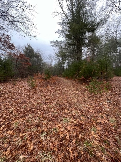 0 Skunk Hill Road Hope Valley, RI 02832 - Photo 3 of 8