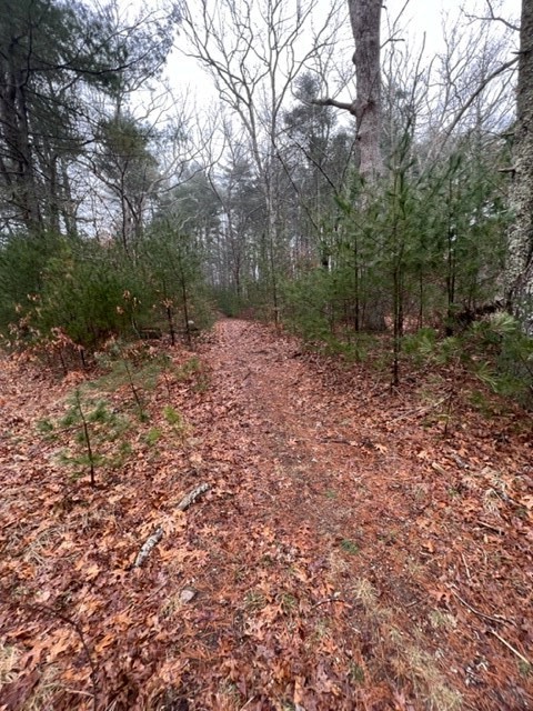 0 Skunk Hill Road Hope Valley, RI 02832 - Photo 5 of 8