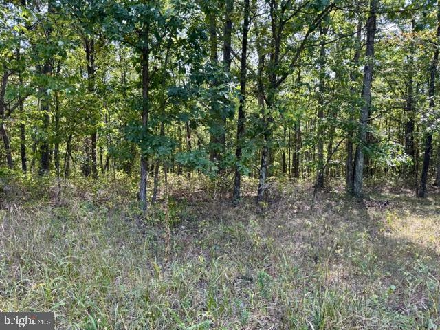 Hungaria Road Berkeley Springs, WV 25411 - Photo 8 of 15 Gallery Image 8
