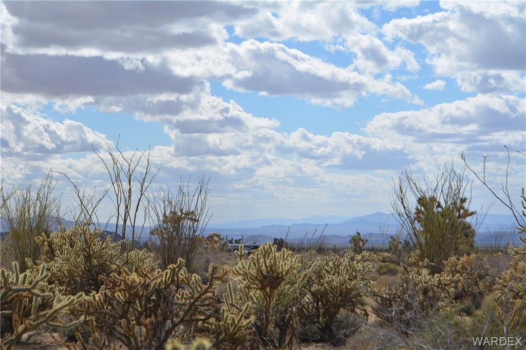11109 Jenny Road Yucca, AZ 86438 - Photo 15 of 21 Gallery Image 15