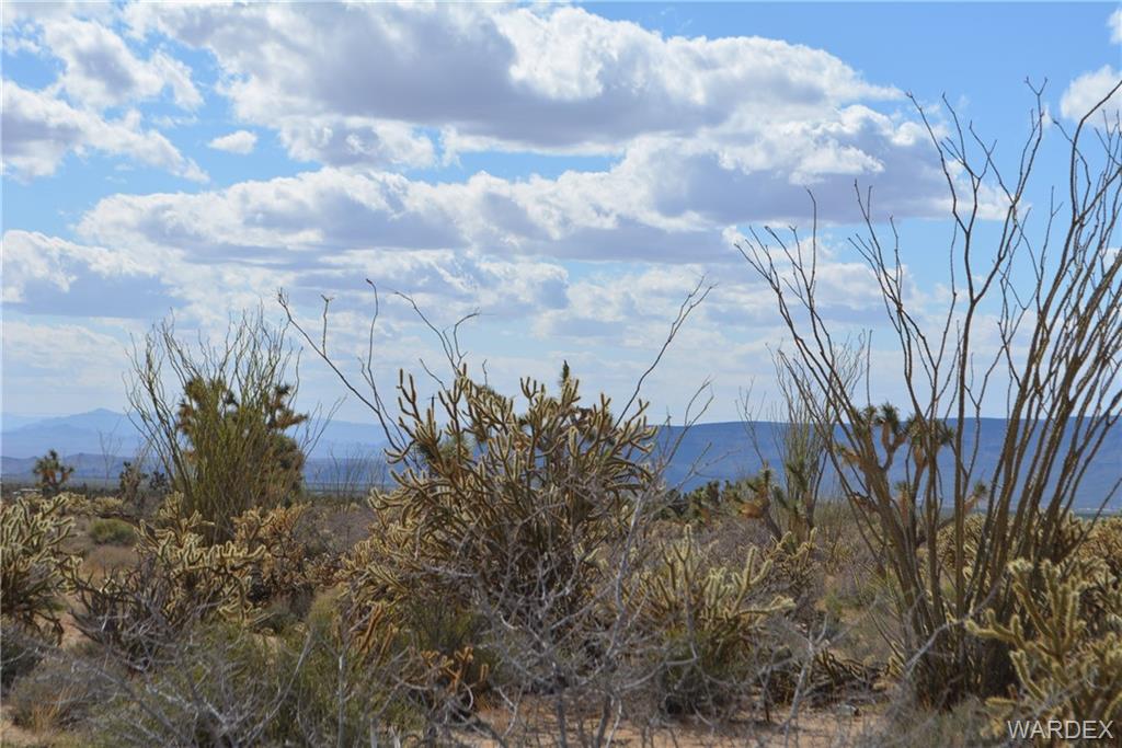 11109 Jenny Road Yucca, AZ 86438 - Photo 16 of 21 Gallery Image 16
