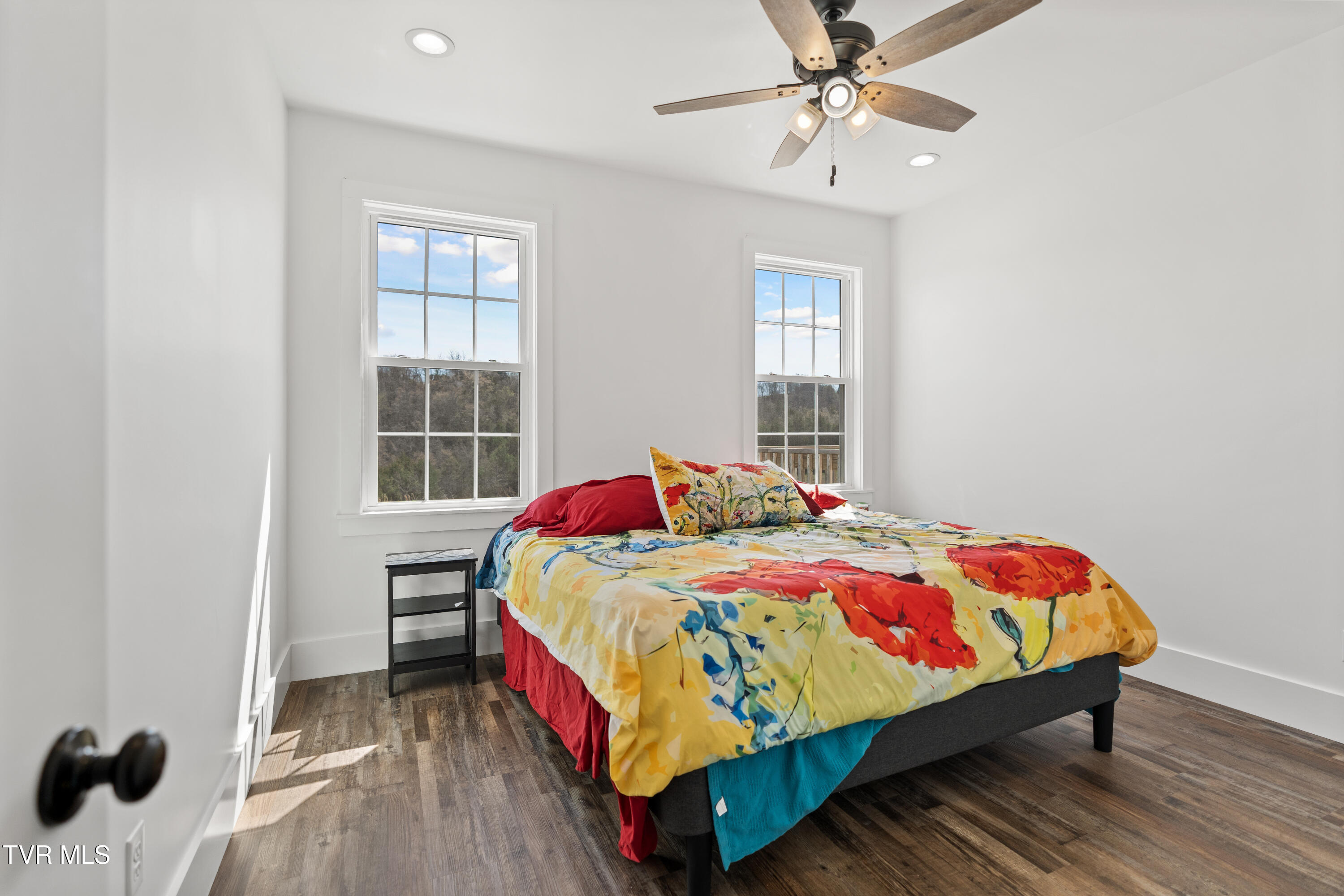 811 Grassy Creek Road Greeneville, TN 37743 - Photo 71 of 101 DSC09209